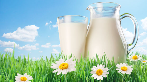 К чему снится молоко и молочные продукты
